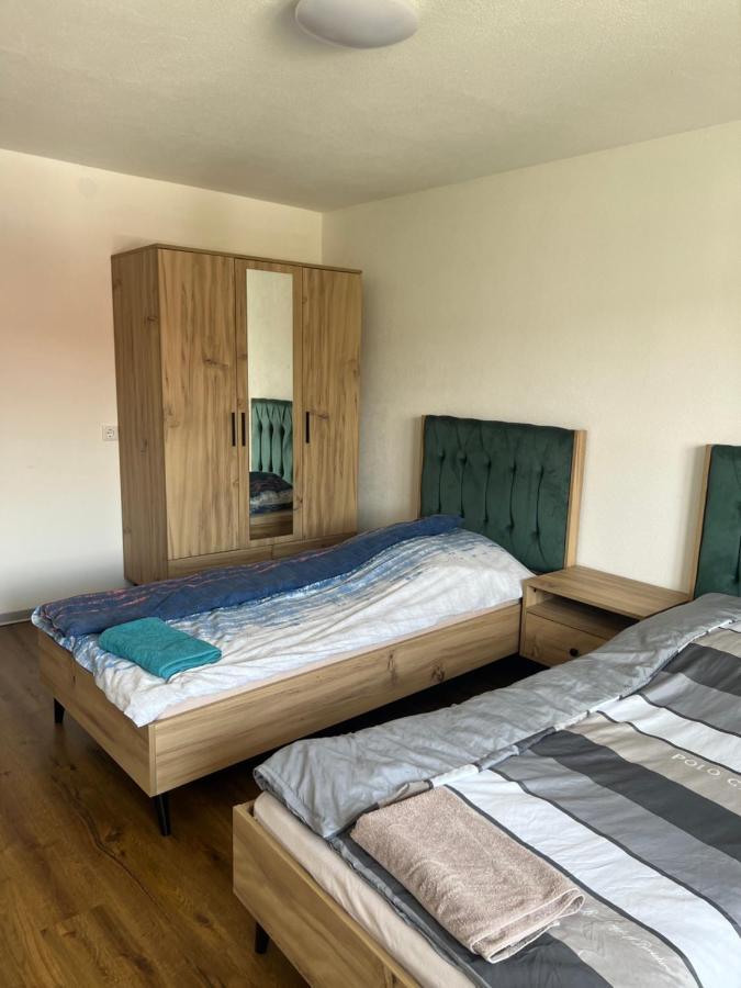 Flori Home Murg  Luaran gambar